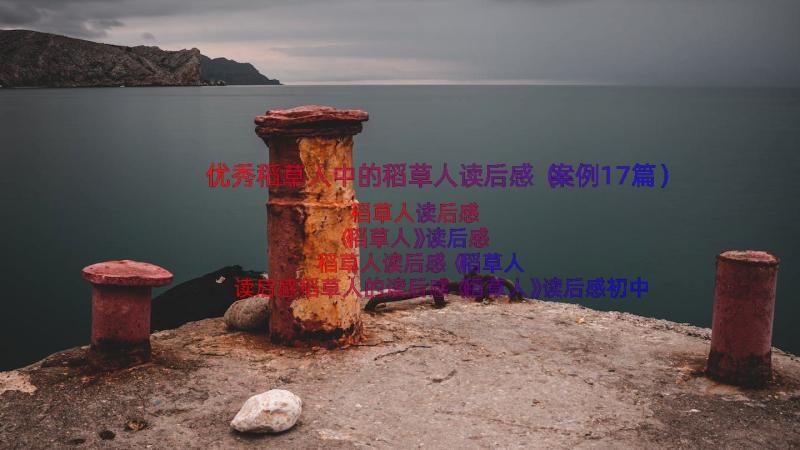 优秀稻草人中的稻草人读后感（案例17篇）