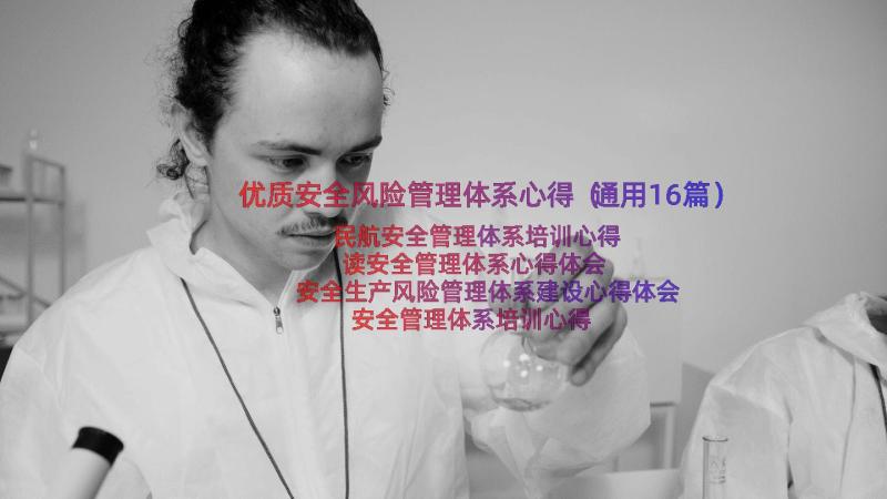 优质安全风险管理体系心得（通用16篇）