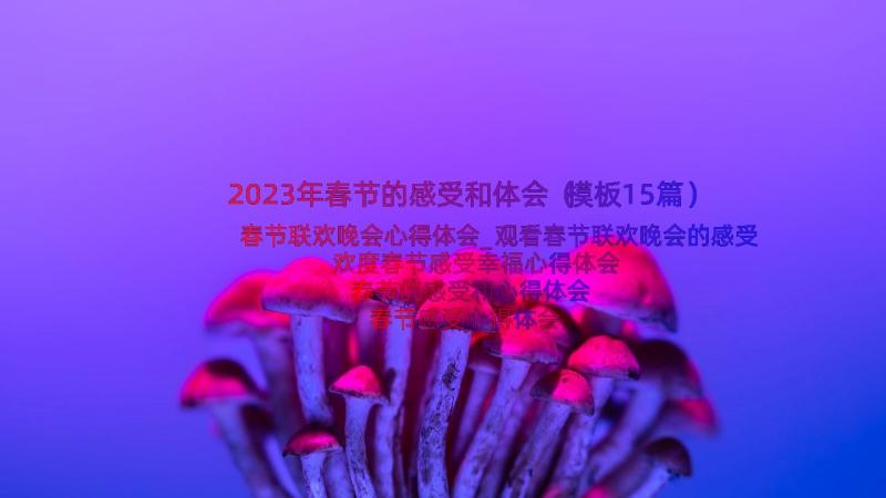 2023年春节的感受和体会（模板15篇）