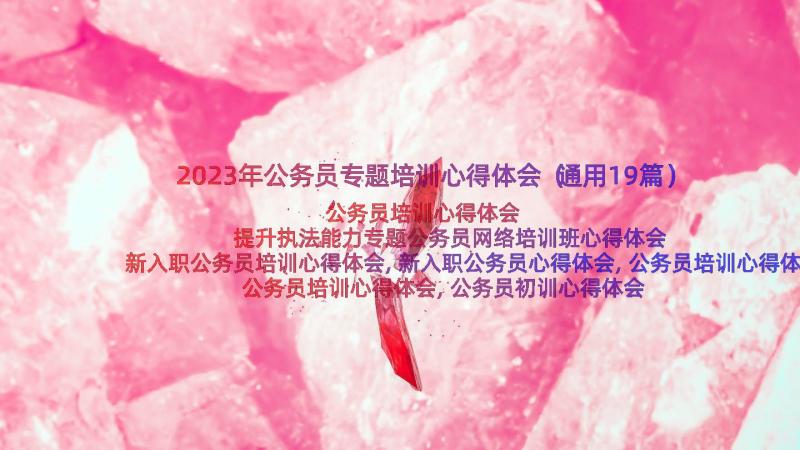 2023年公务员专题培训心得体会（通用19篇）