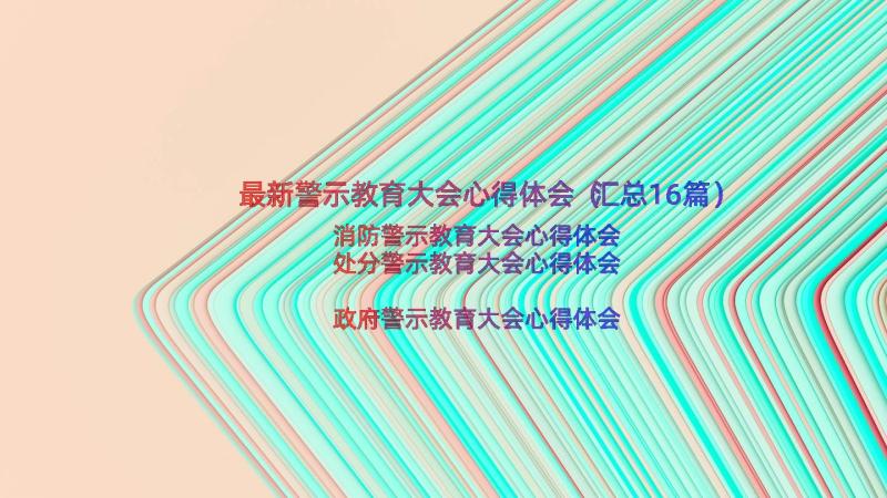 最新警示教育大会心得体会（汇总16篇）