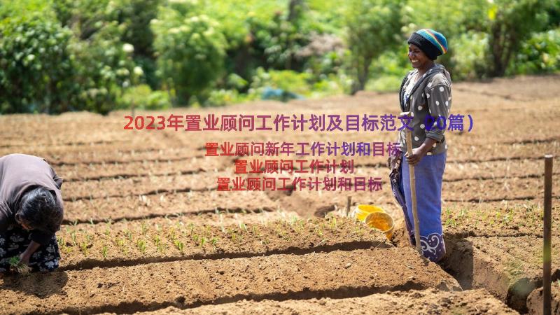 2023年置业顾问工作计划及目标范文（20篇）