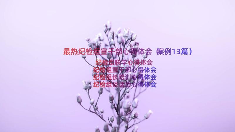 最热纪检组宣干部心得体会（案例13篇）