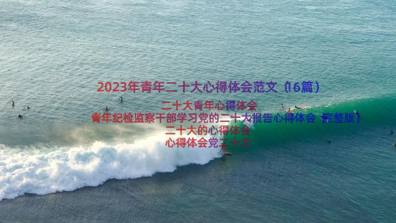 2023年青年二十大心得体会范文（16篇）