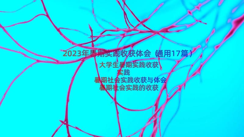 2023年暑期实践收获体会（通用17篇）