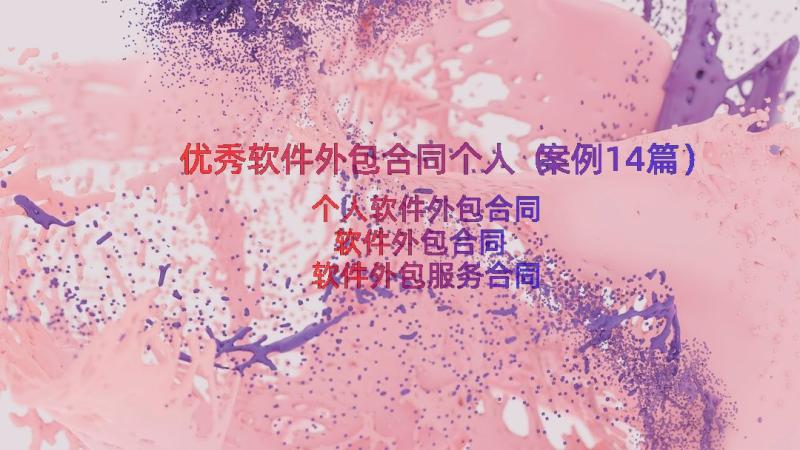 优秀软件外包合同个人（案例14篇）