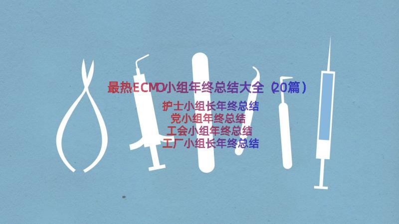 最热ECMO小组年终总结大全（20篇）