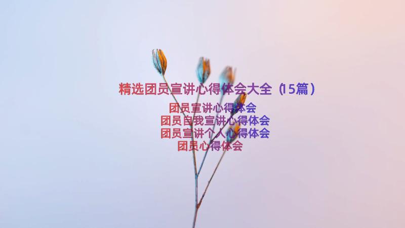 精选团员宣讲心得体会大全（15篇）