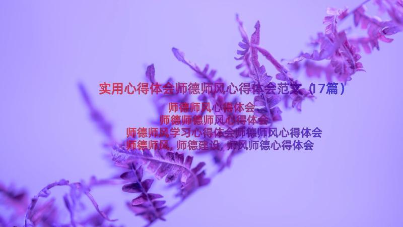 实用心得体会师德师风心得体会范文（17篇）