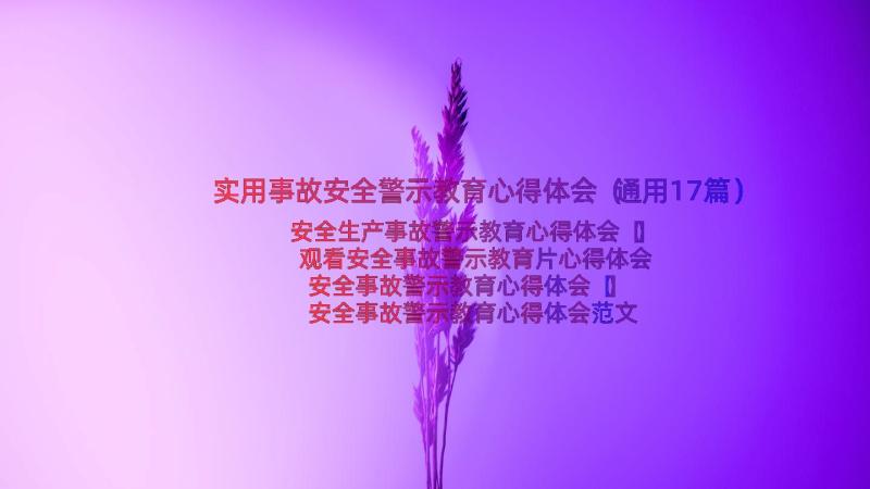 实用事故安全警示教育心得体会（通用17篇）