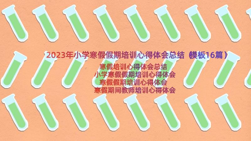 2023年小学寒假假期培训心得体会总结（模板16篇）