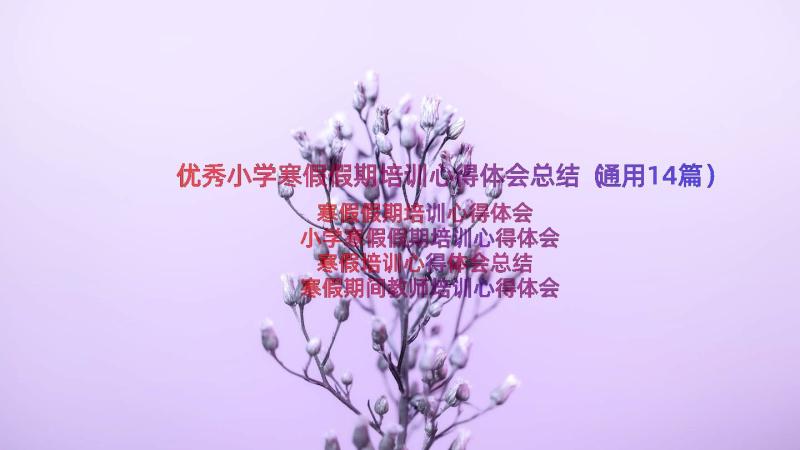 优秀小学寒假假期培训心得体会总结（通用14篇）