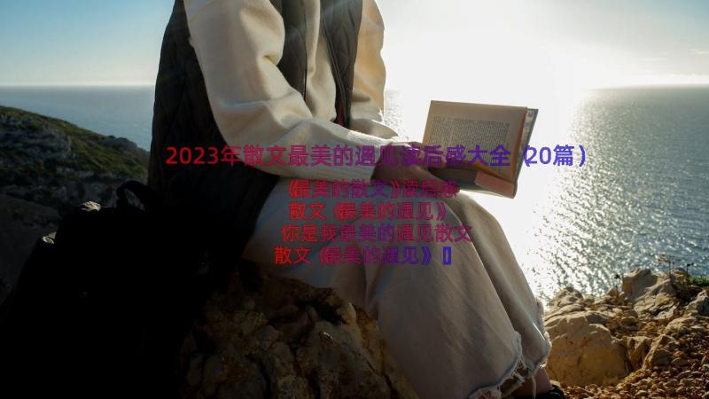 2023年散文最美的遇见读后感大全（20篇）