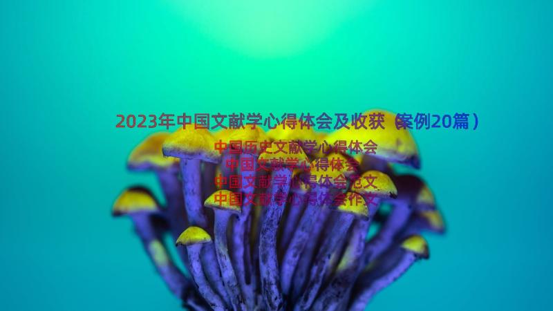 2023年中国文献学心得体会及收获（案例20篇）