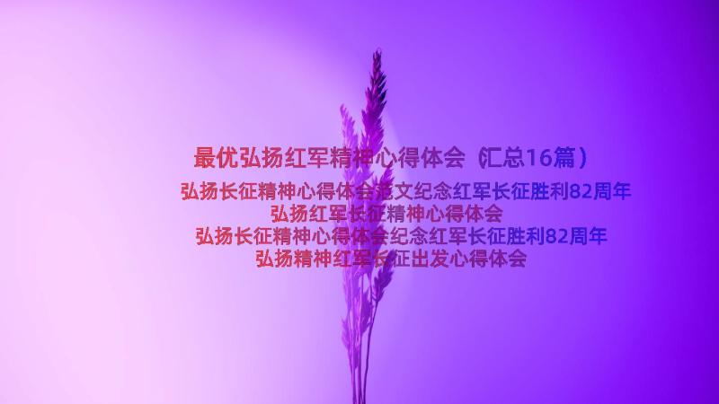 最优弘扬红军精神心得体会（汇总16篇）