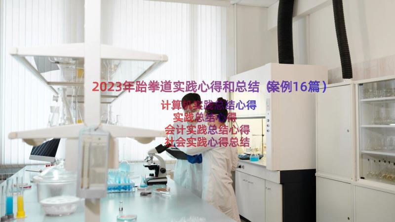 2023年跆拳道实践心得和总结（案例16篇）