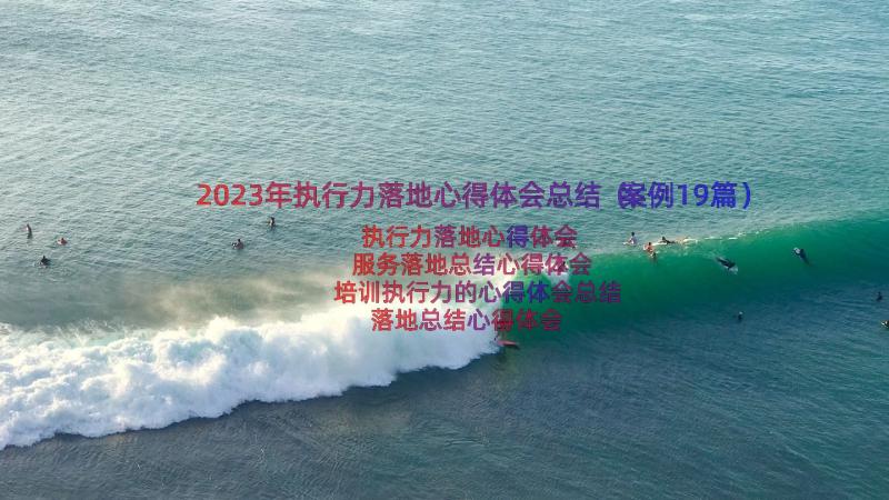 2023年执行力落地心得体会总结（案例19篇）