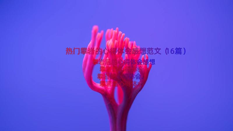 热门攀岩的心得体会感想范文（16篇）