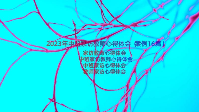 2023年中班家访教师心得体会（案例16篇）