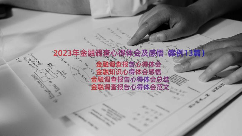 2023年金融调查心得体会及感悟（案例13篇）