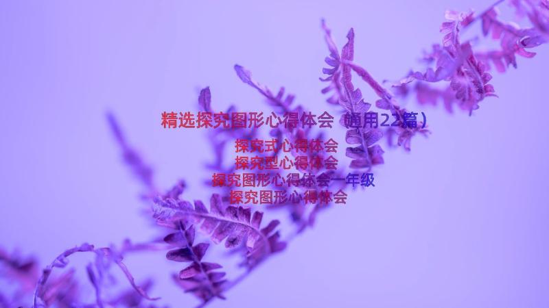 精选探究图形心得体会（通用22篇）