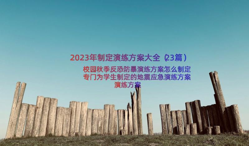 2023年制定演练方案大全（23篇）