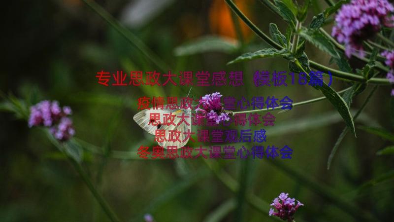 专业思政大课堂感想（模板18篇）