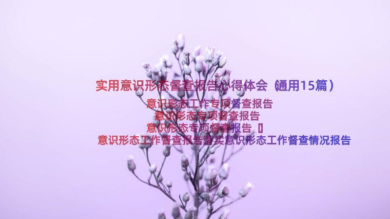 实用意识形态督查报告心得体会（通用15篇）