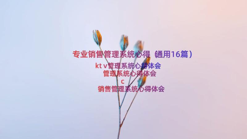 专业销售管理系统心得（通用16篇）