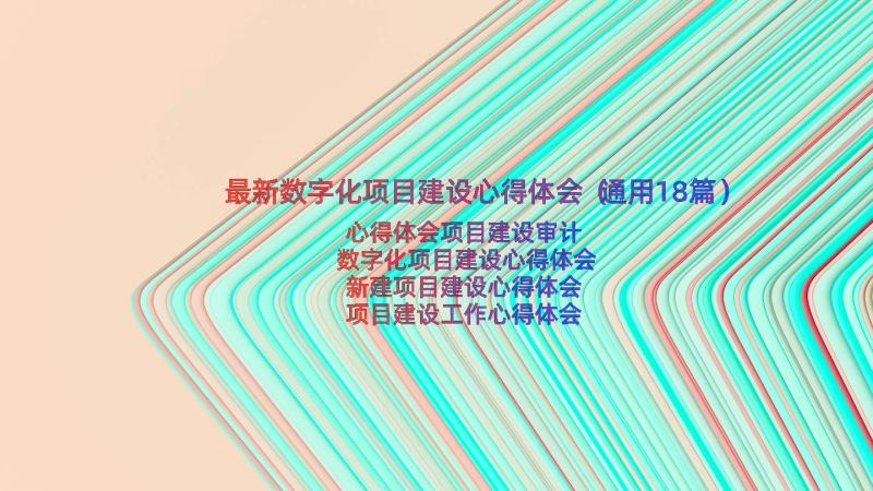 最新数字化项目建设心得体会（通用18篇）