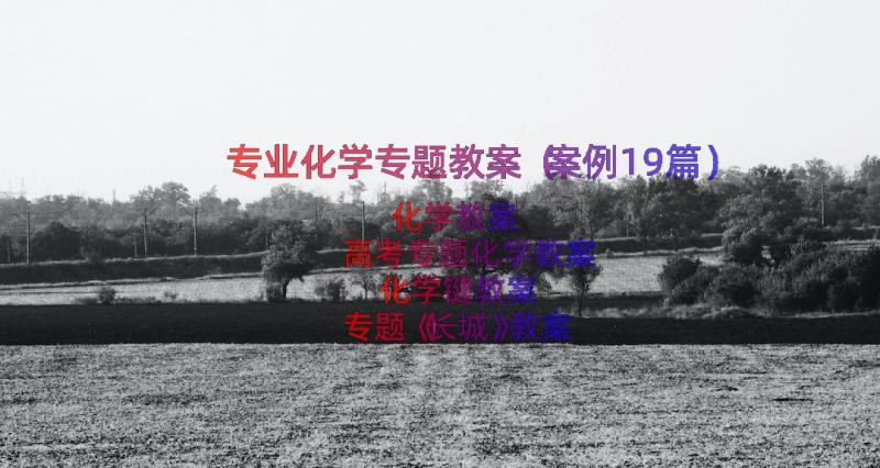 专业化学专题教案（案例19篇）