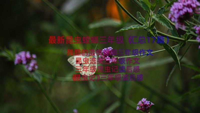 最新昆虫螳螂三年级（汇总17篇）