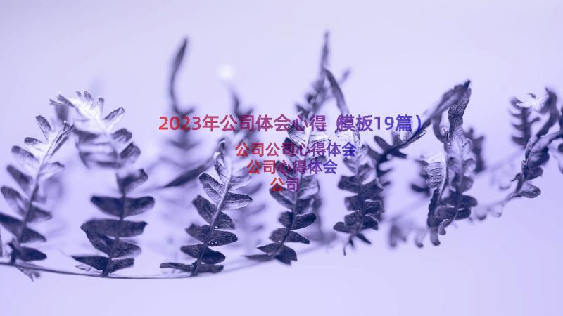 2023年公司体会心得（模板19篇）