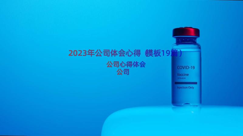 2023年公司体会心得（模板19篇）