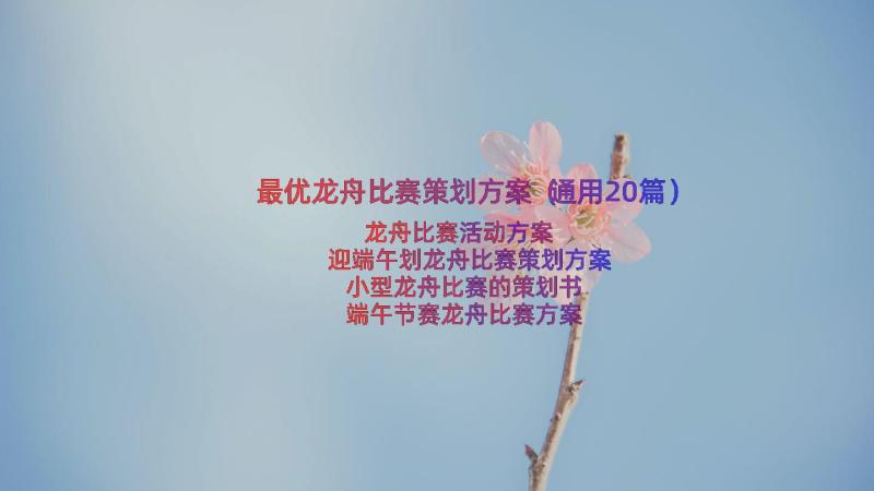 最优龙舟比赛策划方案（通用20篇）