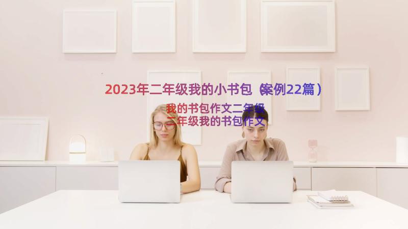 2023年二年级我的小书包（案例22篇）