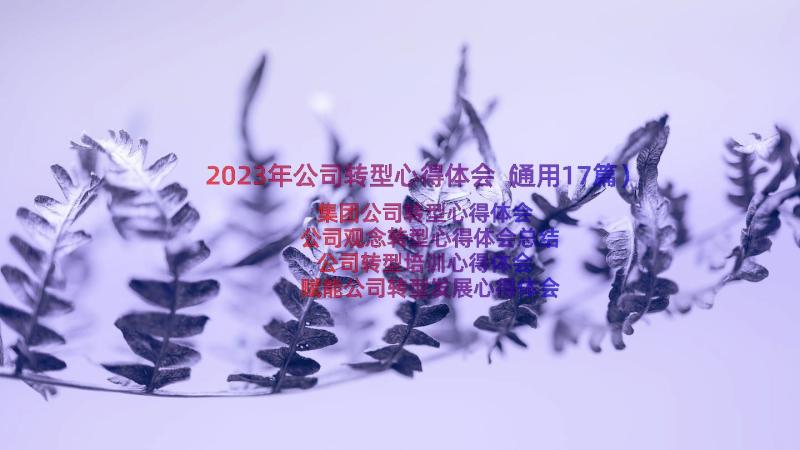 2023年公司转型心得体会（通用17篇）