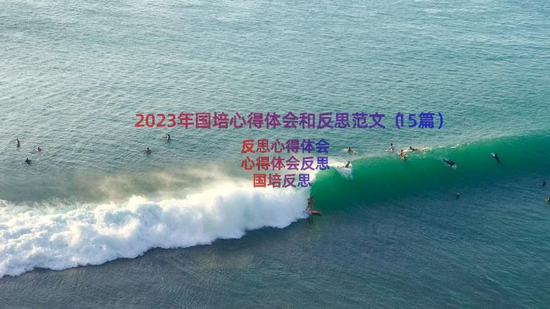 2023年国培心得体会和反思范文（15篇）