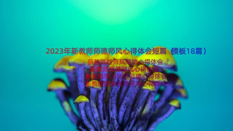 2023年新教师师德师风心得体会短篇（模板18篇）