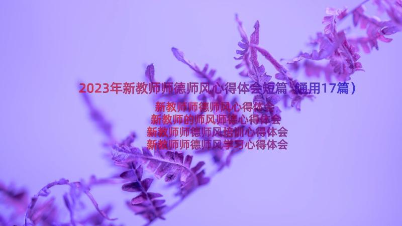 2023年新教师师德师风心得体会短篇（通用17篇）