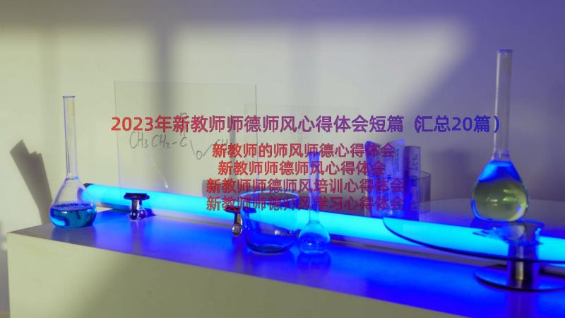 2023年新教师师德师风心得体会短篇（汇总20篇）