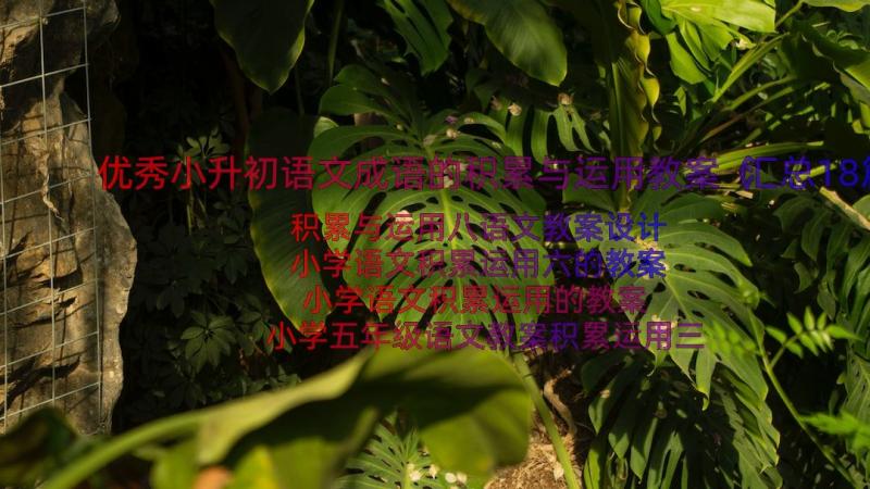 优秀小升初语文成语的积累与运用教案（汇总18篇）