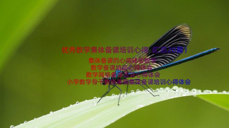 优秀数学集体备课培训心得（汇总20篇）