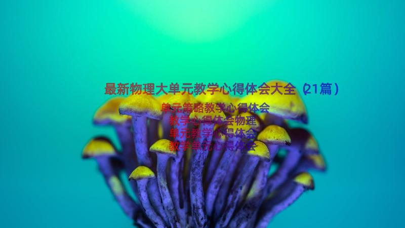 最新物理大单元教学心得体会大全（21篇）