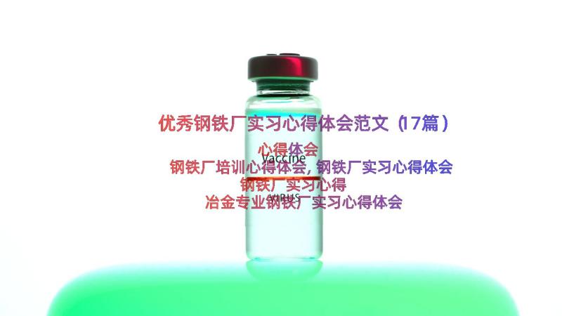 优秀钢铁厂实习心得体会范文（17篇）