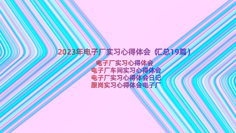 2023年电子厂实习心得体会（汇总19篇）