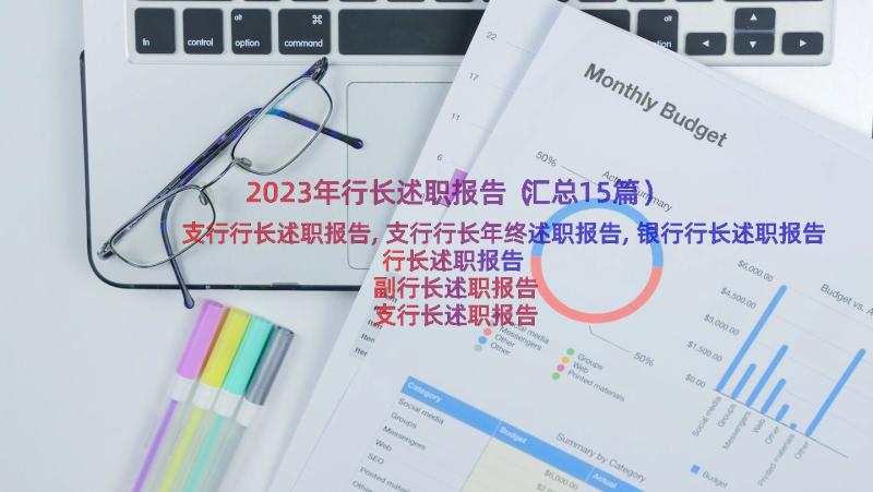 2023年行长述职报告（汇总15篇）