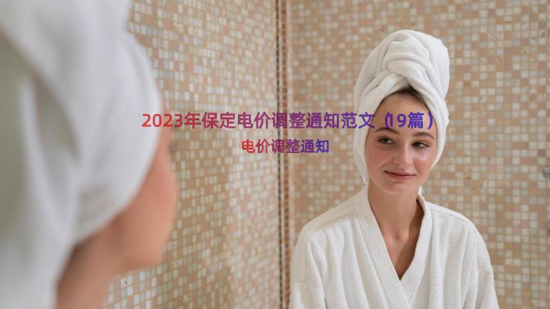 2023年保定电价调整通知范文（19篇）