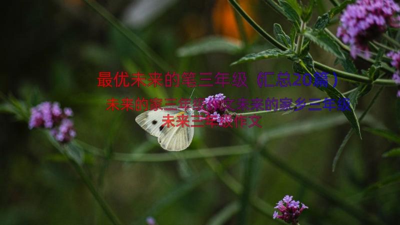 最优未来的笔三年级（汇总20篇）