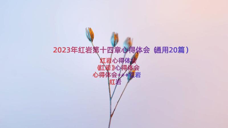 2023年红岩第十四章心得体会（通用20篇）